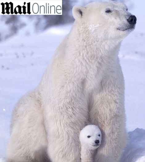Reprodução/Daily Mail